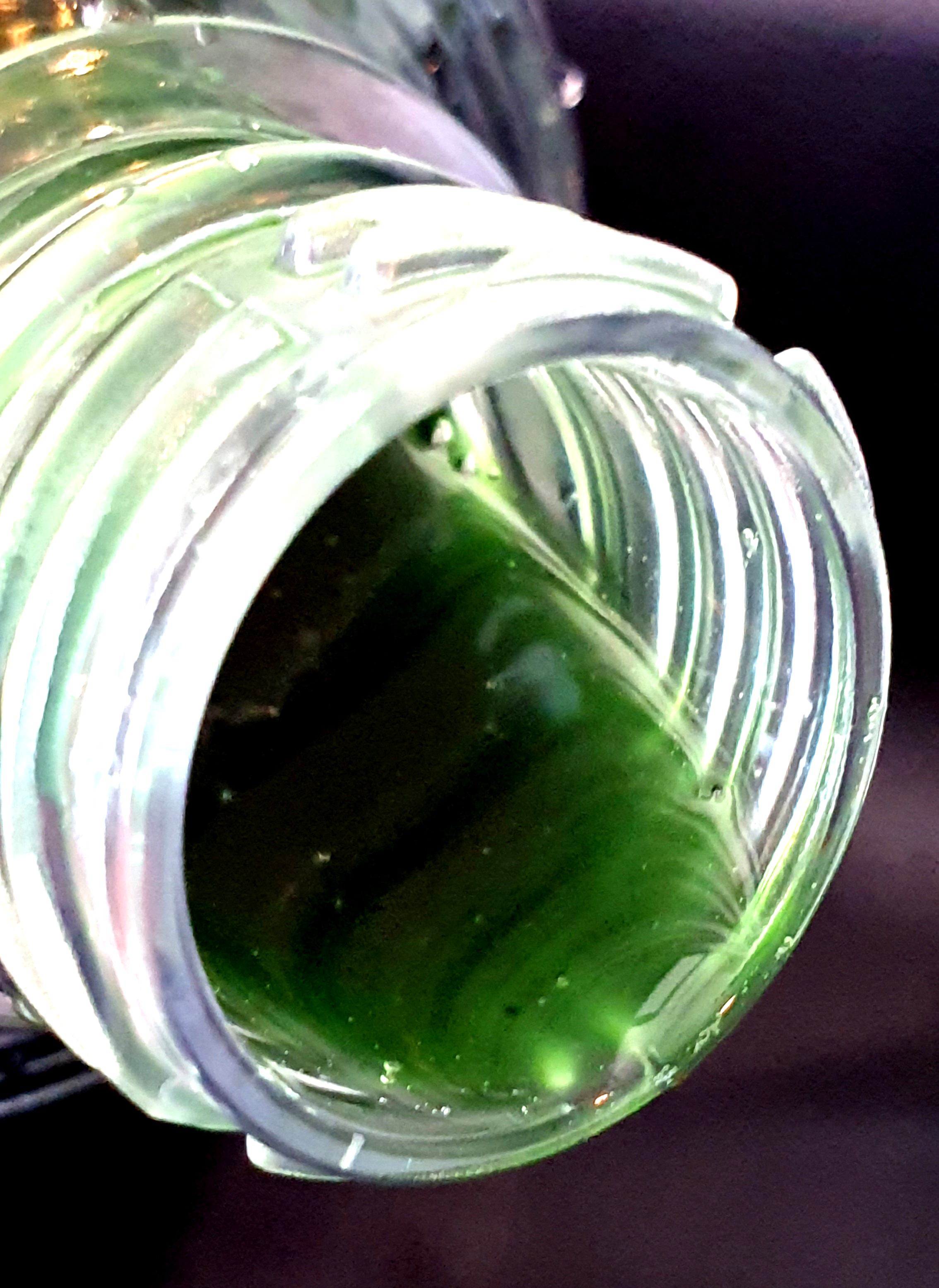 CONQUER RECOVERY OCEAN 250ml