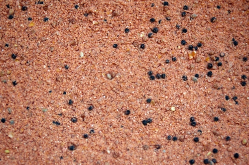 Boilies Zmes KLUB RED 5kg