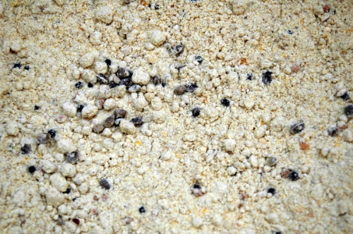 Boilies Zmes PROTEÍN BIRD 5kg