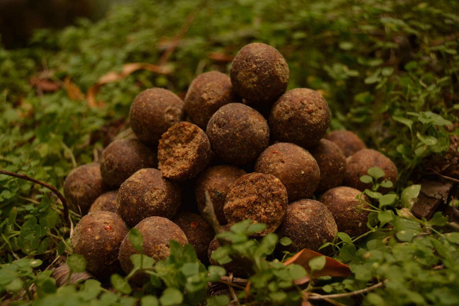 Boilies ELEMENT 1kg 24mm Sea King/Crab